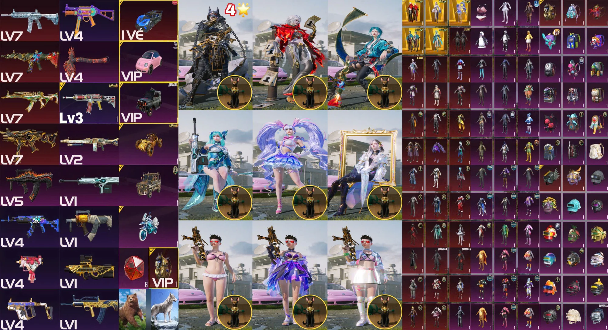 Ảnh tài khoản mã 10801